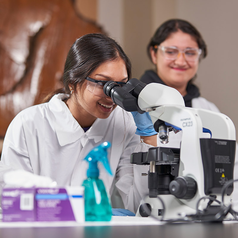 Students looking in a microscope in a lab
